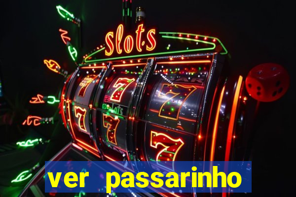 ver passarinho morto significado